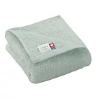 【日本ORIM今治毛巾】BISAI 柔軟親膚 甘撚純棉浴巾 ‧ 果綠