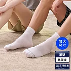 【三花】大尺寸1/2男女適用(素面)休閒襪 襪子  白