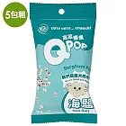 Q POP 高粱爆爆_海鹽15g(五包組)