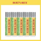 Burt’s Bees 神奇草本修護棒4.25g 5入組