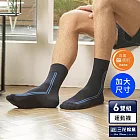 【三花】大尺寸無痕肌簡約休閒襪(6雙組)襪子 男襪  藍/水