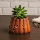 【日本Green House】喫茶店 甜點裝飾小花盆 ‧ 可麗露