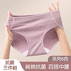 【Missking 1983】茶多酚抑菌加長襠中腰棉柔內褲  (三件組) L