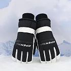 【KISSDIAMOND】韓系防風防水保暖手套(KDG-2321) FREE 黑