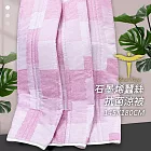 石墨烯蠶絲抗菌涼被/蠶絲被/抗菌被/兒童被 145X180 台灣製造