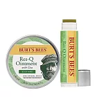 【U】Dr.Hauschka 德國世家 -Burt’s Bees 神奇積雪草本修護霜17g+神奇草本修護棒4.25g