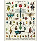 美國 Cavallini & Co. 1000片拼圖  昆蟲