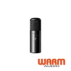 【Warm Audio】WA-8000 真空管電容式麥克風 公司貨