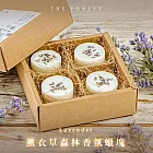 【The Forest 癒森林】薰衣草森林香氛蠟塊塊4入組