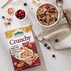 【Venosta 麥佳富】穀物脆片麥片375gx4盒 內有膳食纖維 義大利原裝進口 莓果穀物x4盒