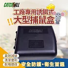 CATCH ALL 捕快 工廠專用誘餌式 大型捕鼠盒 高效滅鼠 安全防護 衛生首選 行銷全球 捕鼠病媒防治專家
