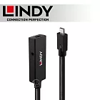 LINDY 林帝 主動式 USB3.2 Gen2 純DATA Type-C 延長線 5m (43364)