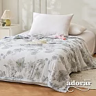 【Adorar愛朵兒】夏季瞬涼冷感冰冰被150*200cm(2入/組) 《安禾》