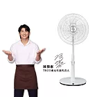 【TECO東元】16吋 DC馬達遙控立扇 XA1617BRD台灣製造