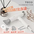 TECO東元 BLDC專業負離子吹風機 XYFXZ003