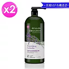 AVALON ORGANICS薰衣草精油滋潤沐浴露946ml/32oz x2瓶(送護手霜x1