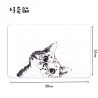 【i LIFE 】北歐風硅藻土吸水置物墊(30×20cm/2入) 好奇貓*2