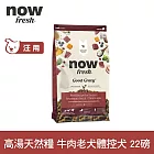 Now! 中型老犬/體控犬牛肉配方 22磅 高湯天然糧 | 乾濕兩吃 火雞高湯 中型犬 犬糧 狗糧 WDJ