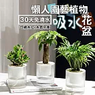 智能USB防水自行車燈組 前燈+藍色車尾燈