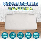 【AGAPE雅家倍】MIT台灣製 天絲舒柔記憶枕1入