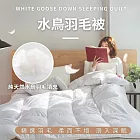 【AGAPE雅家倍】台灣製100%天然水鳥羽毛被 單人4.5x6.5尺