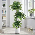 【Floral M】居家超人氣滿滿幸福樹1.5公尺室內大型仿真植栽（贈送花盆）