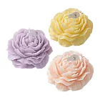 AMARA花開為妳3入組 紫粉黃