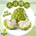 【禾鴻】台東優質大目釋迦5斤x1盒(5-6顆/盒_中果) 下單7個工作天出貨