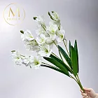 【Floral M】步步高升春節劍蘭高雅白仿真花花材（1入組）-