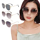 【ALEGANT】歐美名媛極簡色調鏤空設計墨鏡/UV400太陽眼鏡 奢雅棕調