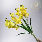【Floral M】步步高升春節劍蘭招財黃仿真花材（1入組）-