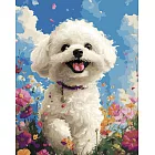 ArtLife藝術生活【TW078】萌系列_馬爾濟斯_DIY 數字 油畫 彩繪