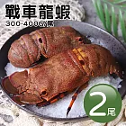 【優鮮配】戰車龍蝦｜300/400g｜2尾 免運組