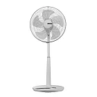 【CHIMEI奇美】16吋DC馬達遙控立扇 DF-16H501