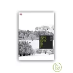 昨夜雪深幾許