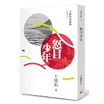 怒目少年：王鼎鈞回憶錄四部曲之二