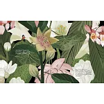 屏東實習中-穿越、解密與召喚