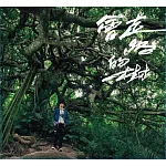 王宏恩 / 會走路的樹 (CD)