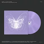 太妍 / TAEYEON / Panoram: The Best of TAEYEON  (LP Ver.))