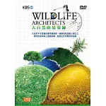 大自然的建築師  DVD