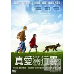 真愛滿行囊 DVD