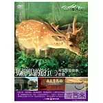 MIT台灣誌44 / 馬祖列島的旅行(三) 背包客遊島嶼 鹿島 DVD