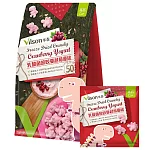 【vilson 米森】乳酸菌咬咬蔓越莓優格(恐龍)-10g*5包  蔓越莓