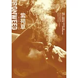 紫苑草