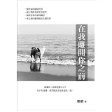 在我離開你之前