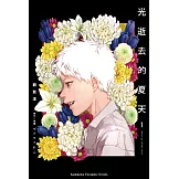 光逝去的夏天 (1)