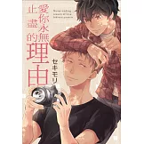 愛你永無止盡的理由 全