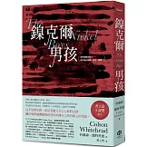 鎳克爾男孩（普立茲小說獎作品）