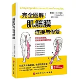 肌筋膜連接與修復
