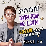 王奇老師的寵物塔羅－初階入門 (影片)